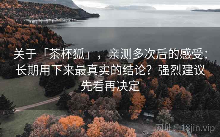 关于「茶杯狐」，亲测多次后的感受：长期用下来最真实的结论？强烈建议先看再决定