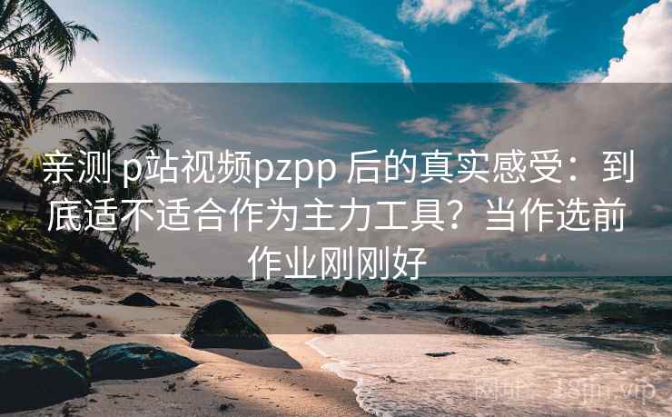 亲测 p站视频pzpp 后的真实感受：到底适不适合作为主力工具？当作选前作业刚刚好