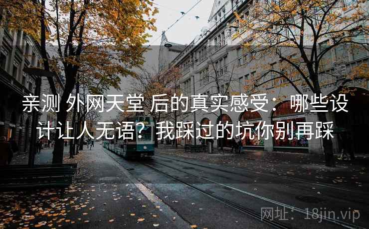 亲测 外网天堂 后的真实感受：哪些设计让人无语？我踩过的坑你别再踩