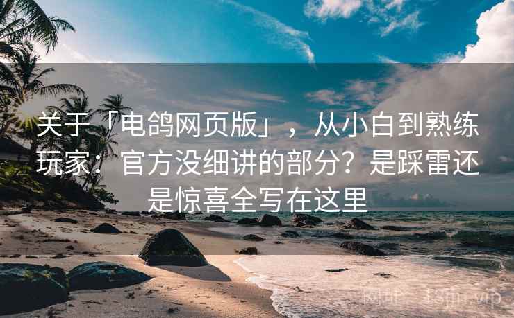 关于「电鸽网页版」，从小白到熟练玩家：官方没细讲的部分？是踩雷还是惊喜全写在这里