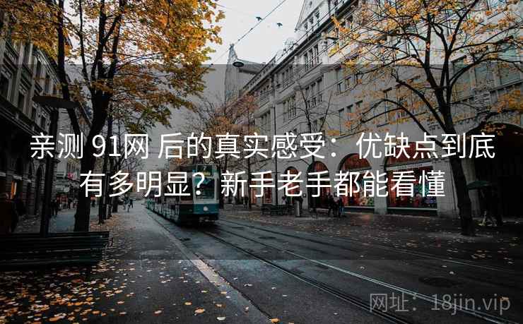 亲测 91网 后的真实感受：优缺点到底有多明显？新手老手都能看懂