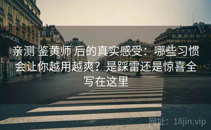 亲测 鉴黄师 后的真实感受：哪些习惯会让你越用越爽？是踩雷还是惊喜全写在这里